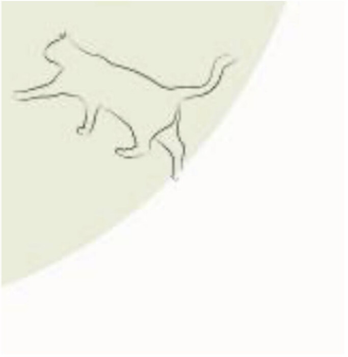 画像277